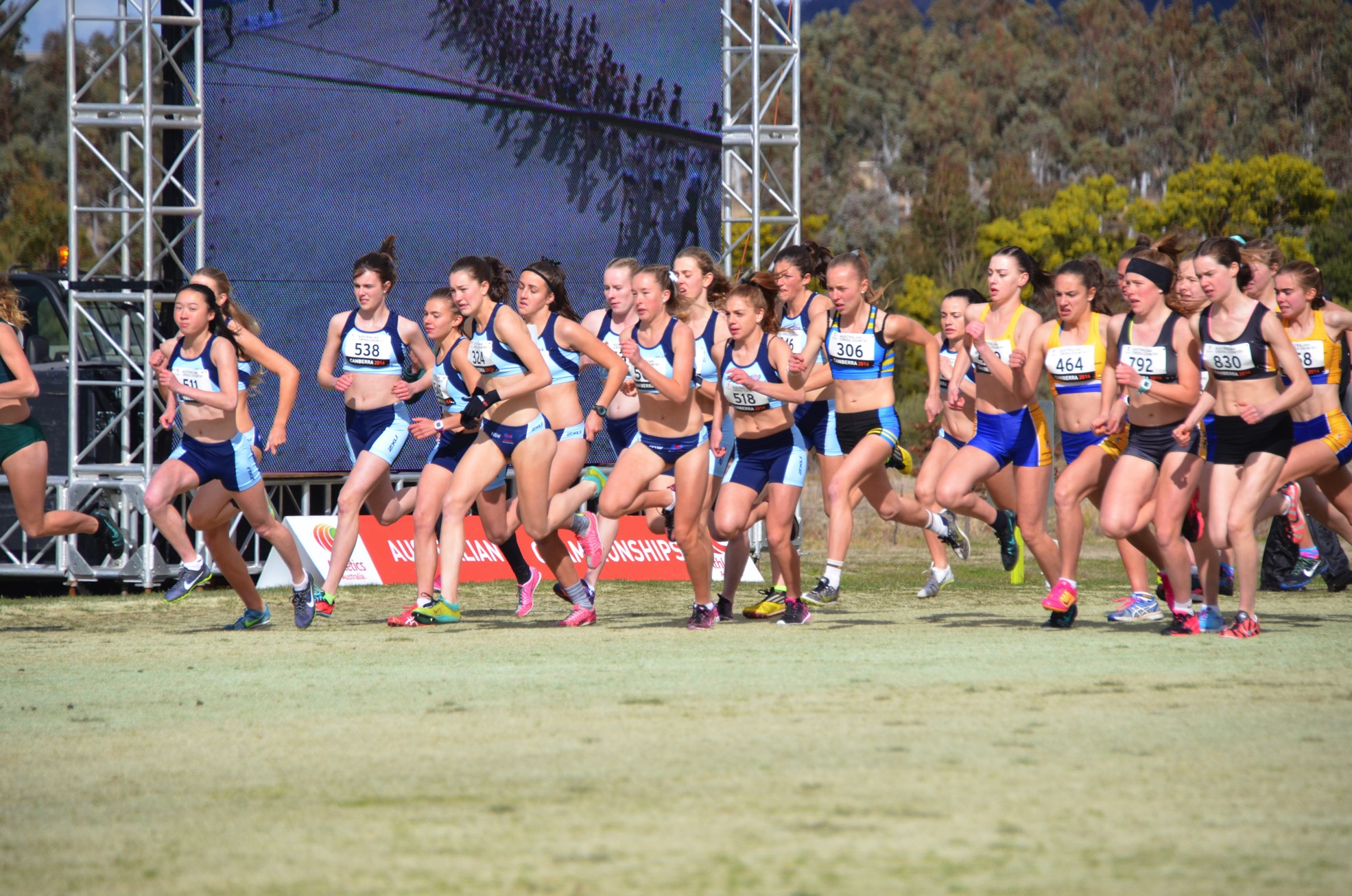 2016 Australian National XC Championships: Photo By Ewa Facioni