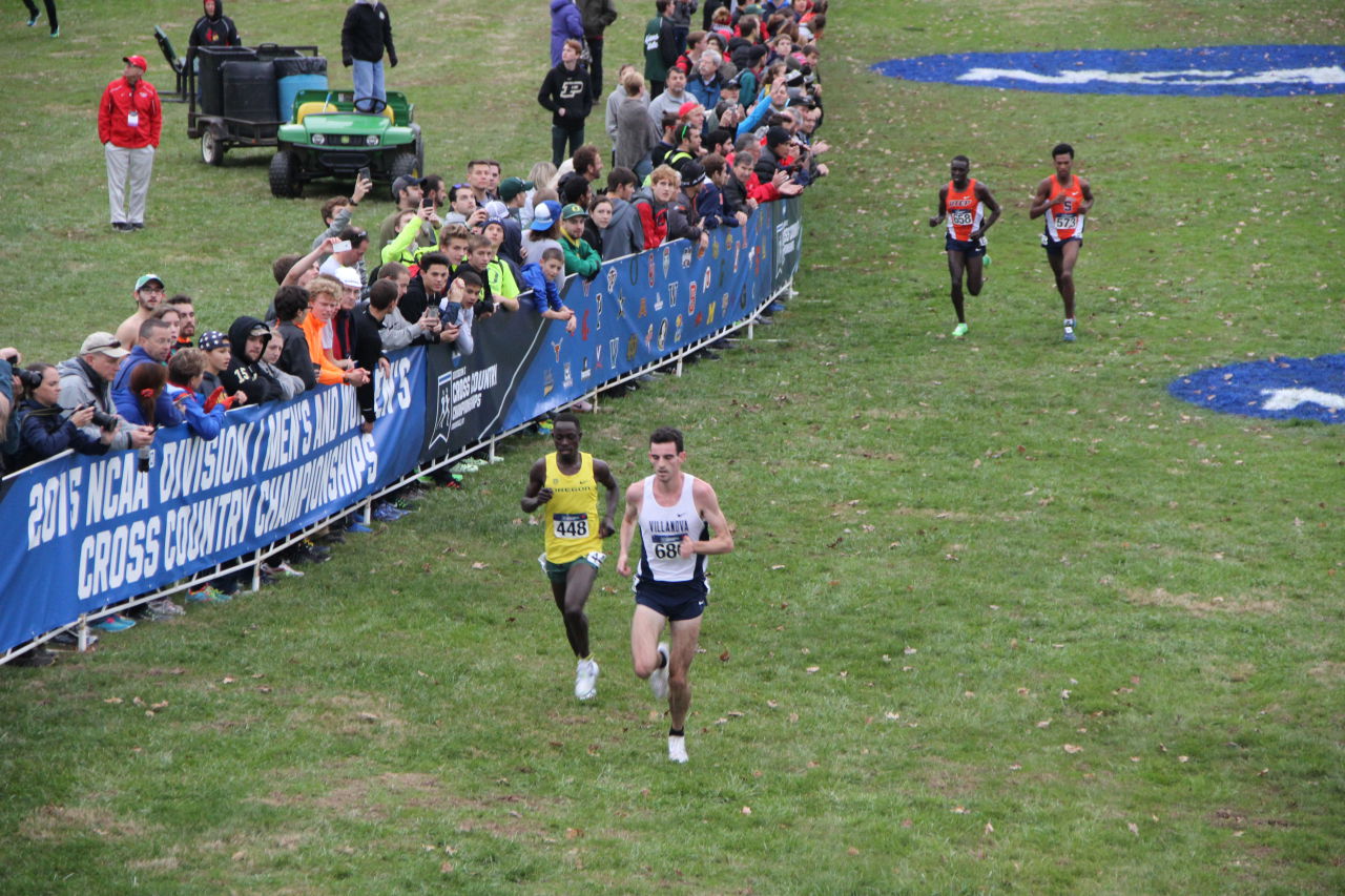 2015 NCAA National XC