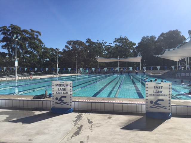 Swimming is a terrifc low impact way to train. Photo by Runner's Tribe