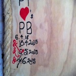 SFPEcabin_006
