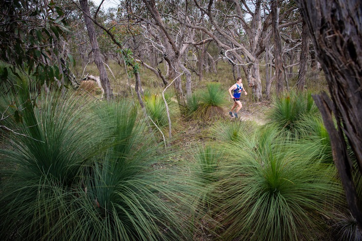 SURF COAST CENTURY